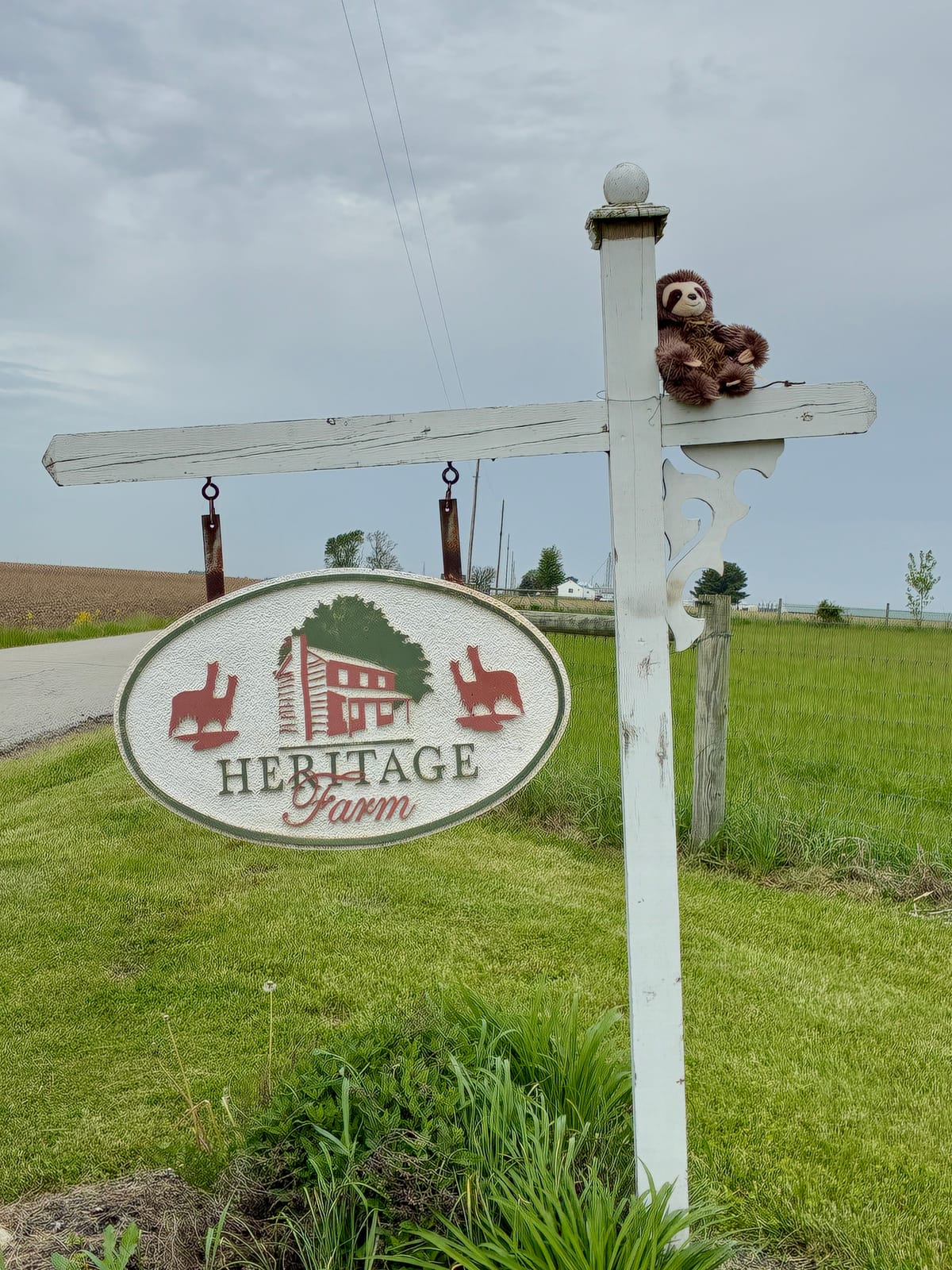 8. Heritage Alpaca Farm & Events, Flora, IN