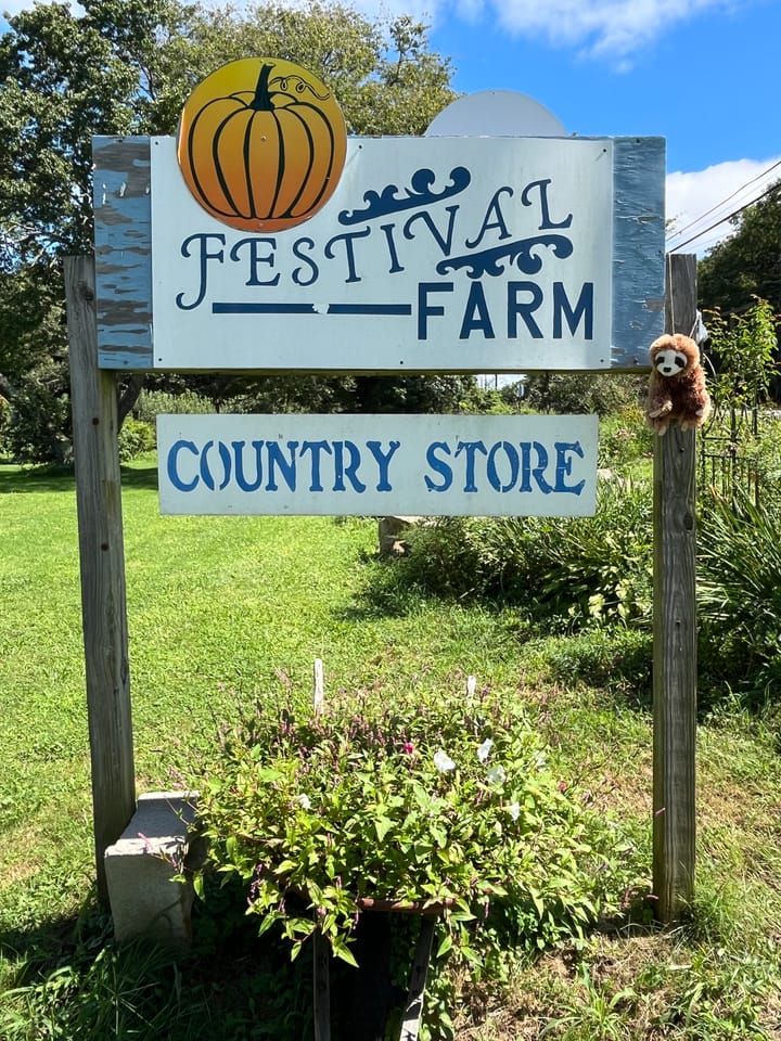 15. Festival Farm Hope Valley, RI