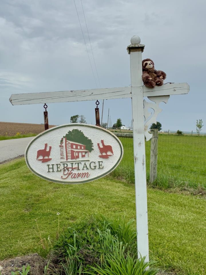 8. Heritage Alpaca Farm & Events, Flora, IN